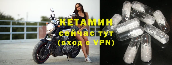 шишки Абаза