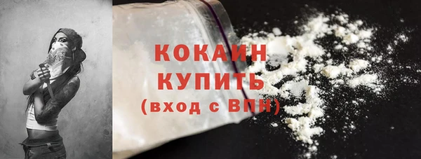 ПСИЛОЦИБИНОВЫЕ ГРИБЫ Осинники