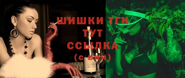 шишки Абаза