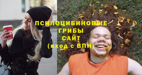 шишки Абаза