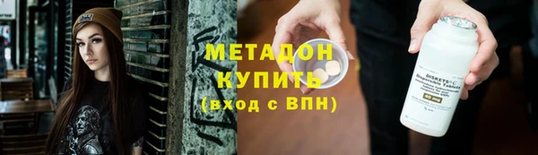 шишки Абаза