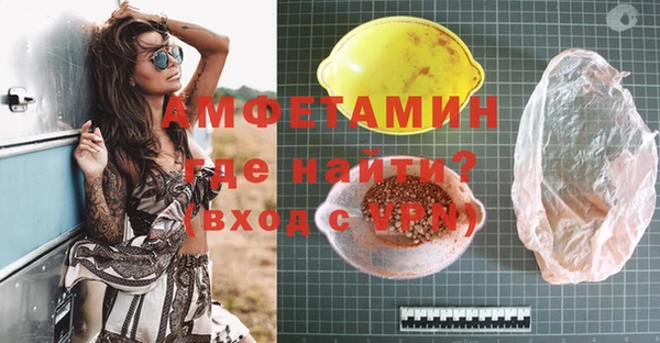 шишки Абаза