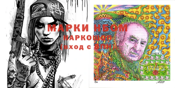 шишки Абаза