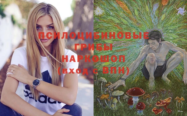 PSILOCYBIN Остров