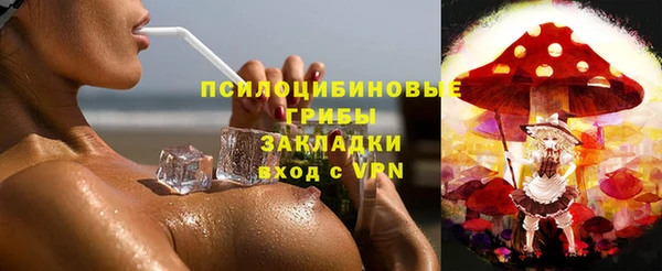 шишки Абаза
