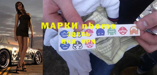 шишки Абаза