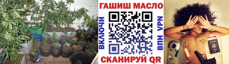 хочу   мега рабочий сайт  Дистиллят ТГК концентрат  Иннополис 