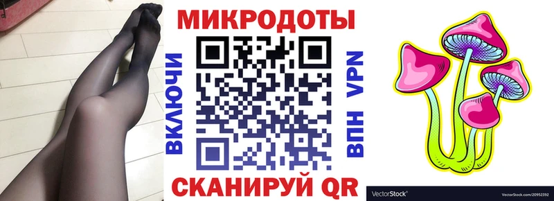 omg Иннополис Псилоцибиновые грибы Psilocybine cubensis купить наркоту